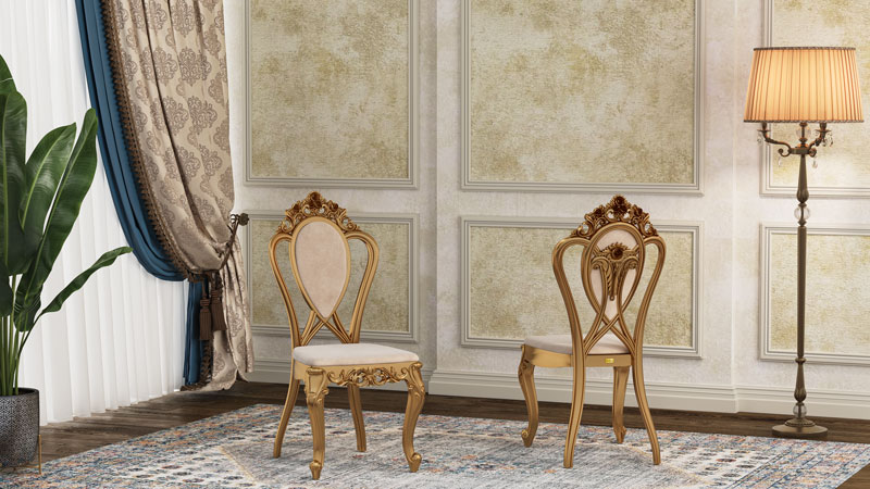 Ayan Polymer Chair